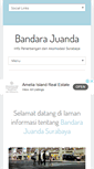 Mobile Screenshot of juandaairport.com